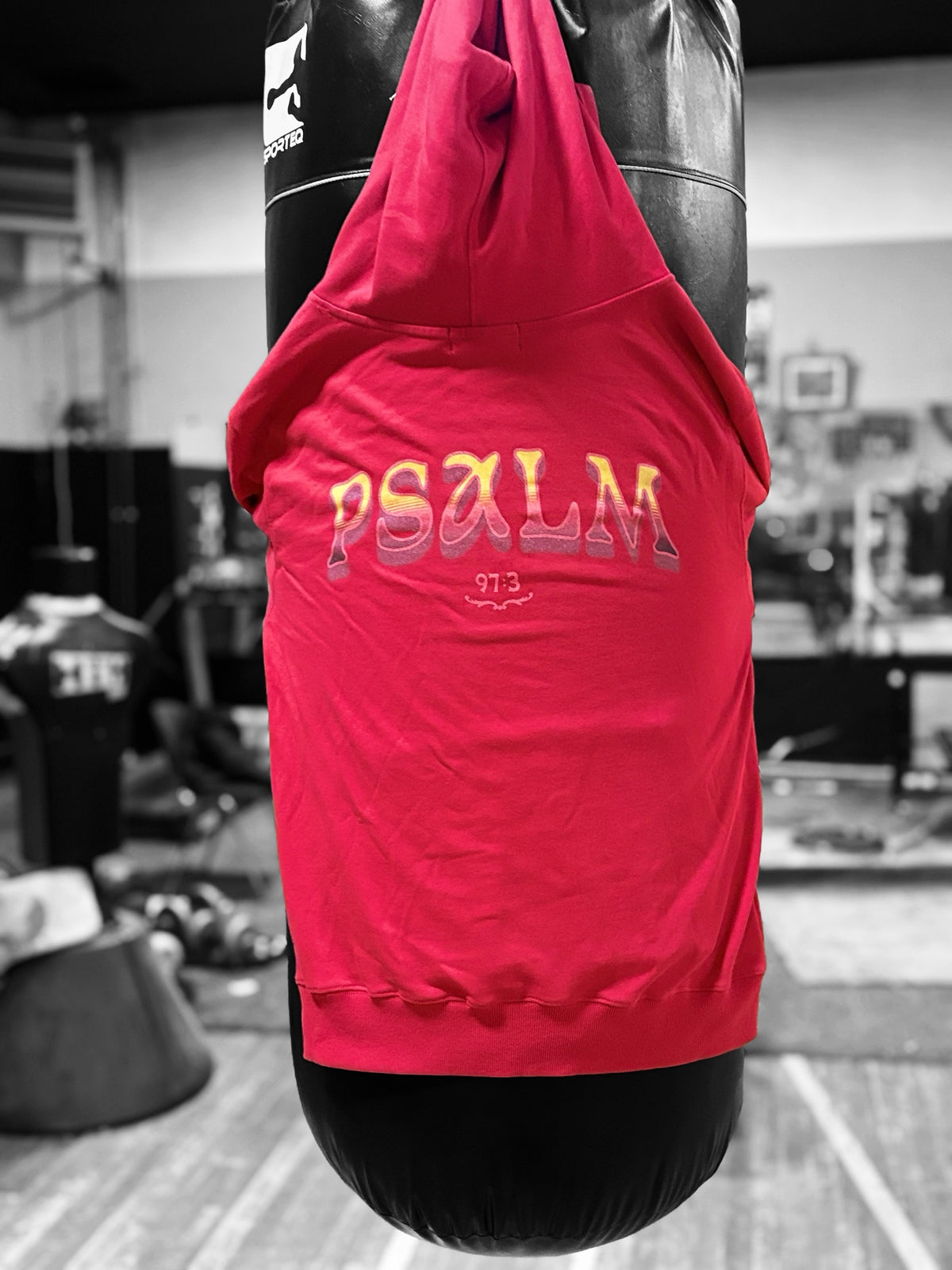 PSALM Runners Hoodie {unisex}