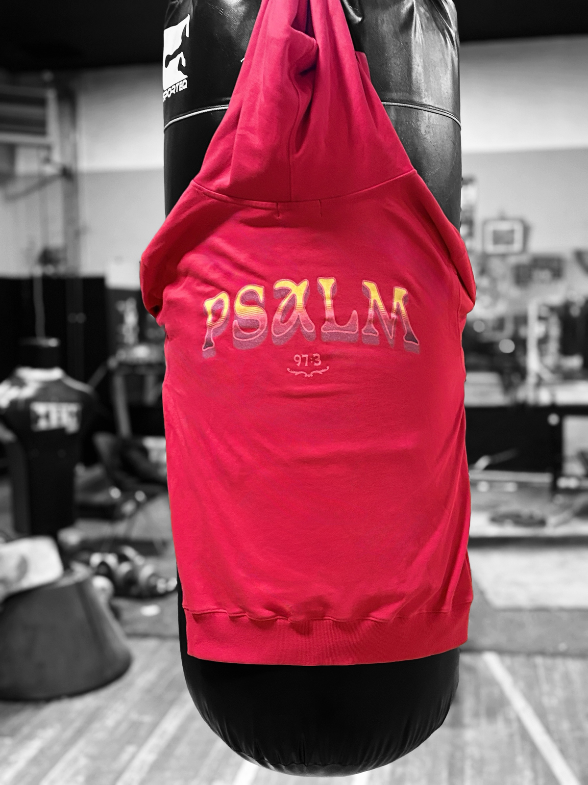 PSALM Runners Hoodie {unisex}